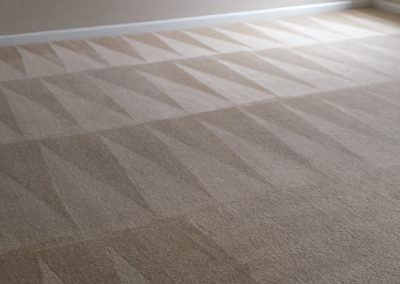 Raleigh Residential Carpet Cleaning 2